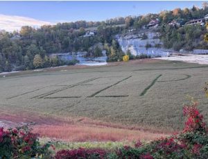 Lire la suite à propos de l’article Le Doubs se meurt